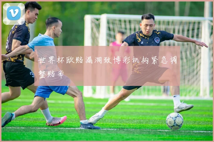 世界杯欧赔漏洞致博彩机构紧急调整赔率