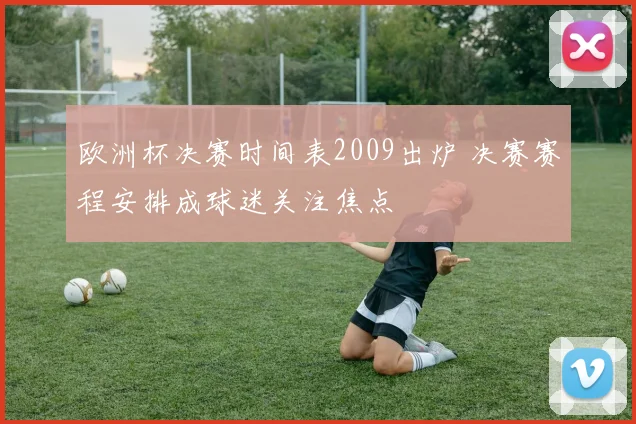 欧洲杯决赛时间表2009出炉 决赛赛程安排成球迷关注焦点