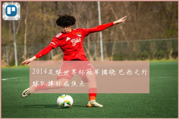 2014足球世界杯冠军揭晓 巴西之外球队捧杯成焦点